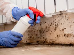 Asbestos and Lead Testing During Mold Inspection in Flomaton, AL